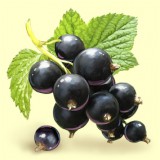 Чёрная смородина 0,250